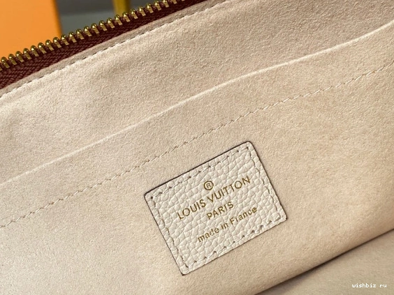 WIS LOUIS VUITTON DAILY POUCH 1010